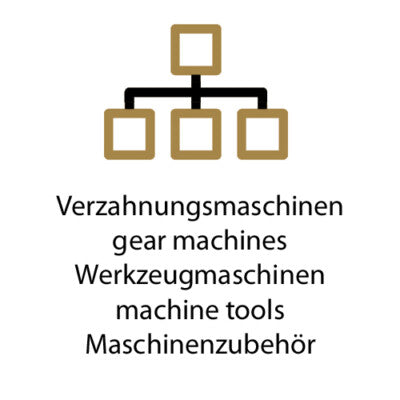 Schnyder Schaftwälzfräser m=0,5 20° EGW 1gg. Rechts hL. 125 KS 839N Material HSS
