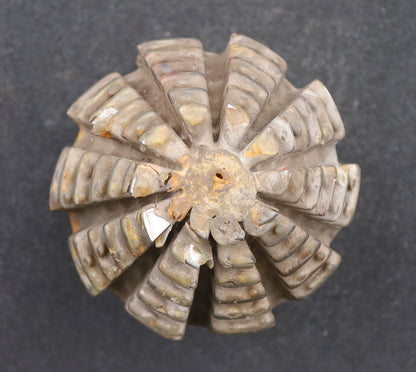 Bild des Artikels KLINGELNBERG-Palloid-Wälzfräser-m=-5,5-22°30'-EGW-Zahnform-II-1-gg.-Li-Rest-100%
