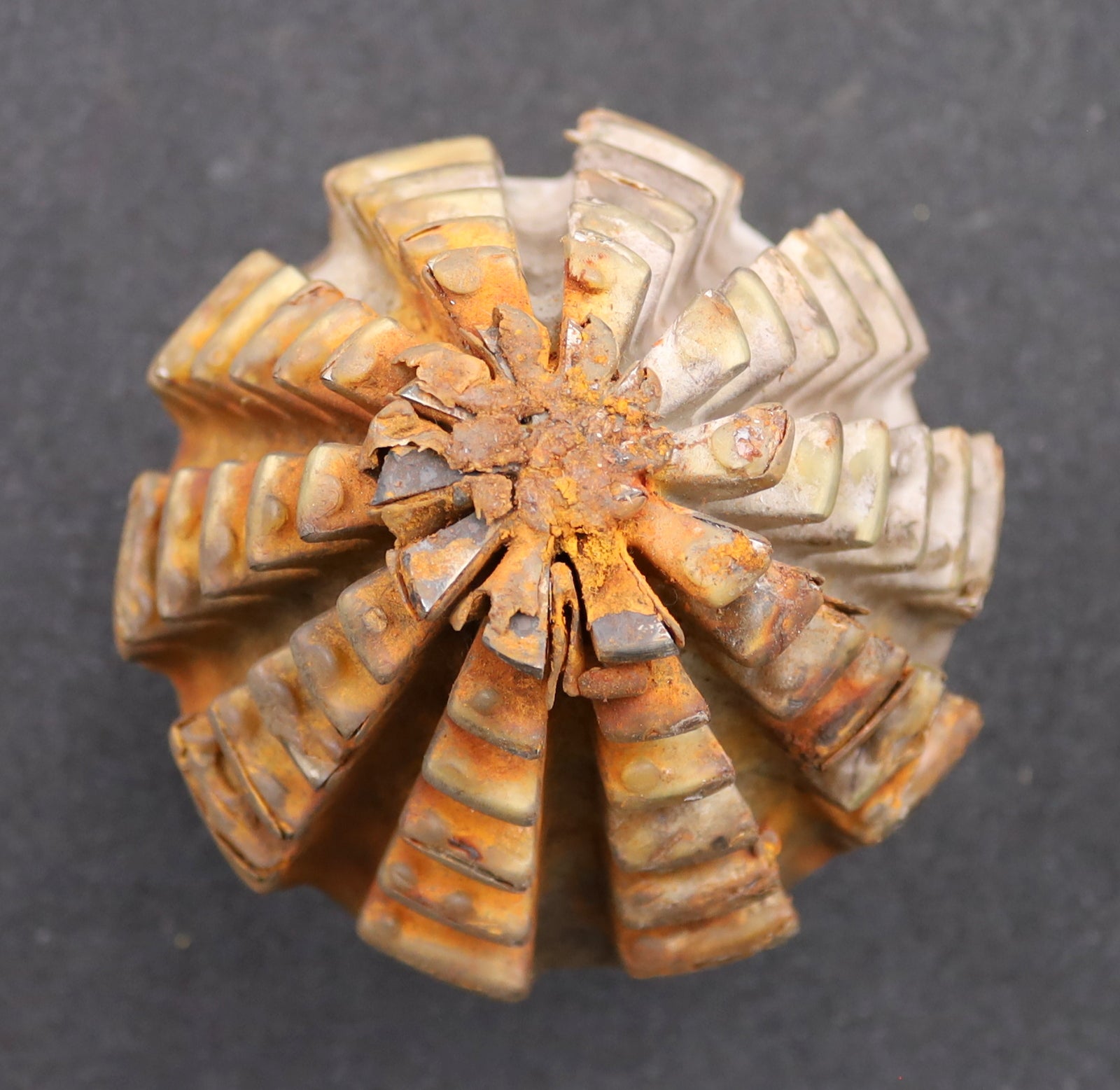 Bild des Artikels KLINGELNBERG-Palloid-Wälzfräser-m=-5,5-22°30'-EGW-Zahnform-II-1-gg.-Links