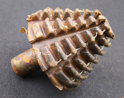 Bild des Artikels KLINGELNBERG-Palloid-Wälzfräser-m=-6-20°-EGW-Zahnform-III-1-gg.-Rechts