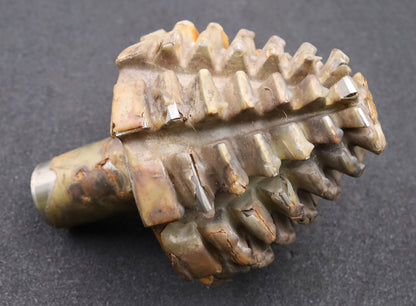 Bild des Artikels KLINGELNBERG-Palloid-Wälzfräser-m=-5,5-22°30'-EGW-Zahnform-II-1-gg.-Rechts