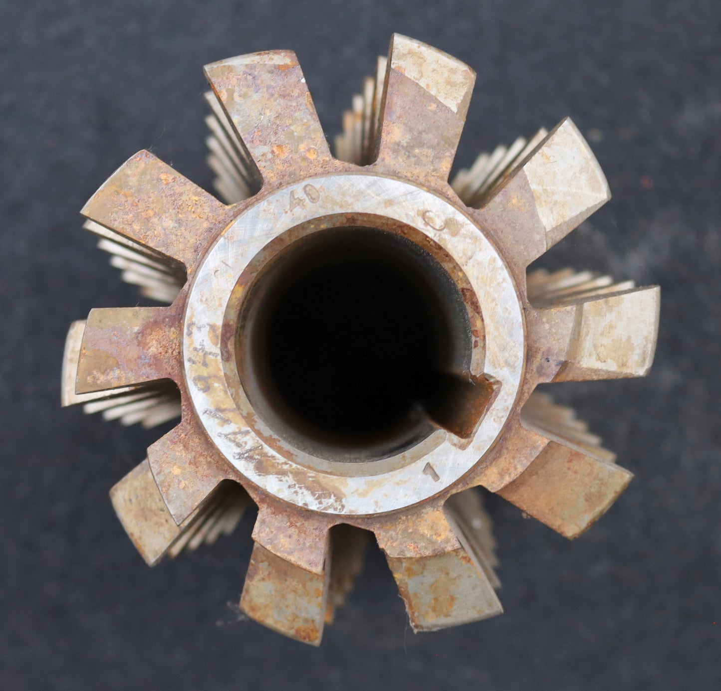 Bild des Artikels PWS-Zahnrad-Wälzfräser-gear-hob-m=7,0mm-BPII-nach-DIN-3972-20°-EGW-1gg.-Re.