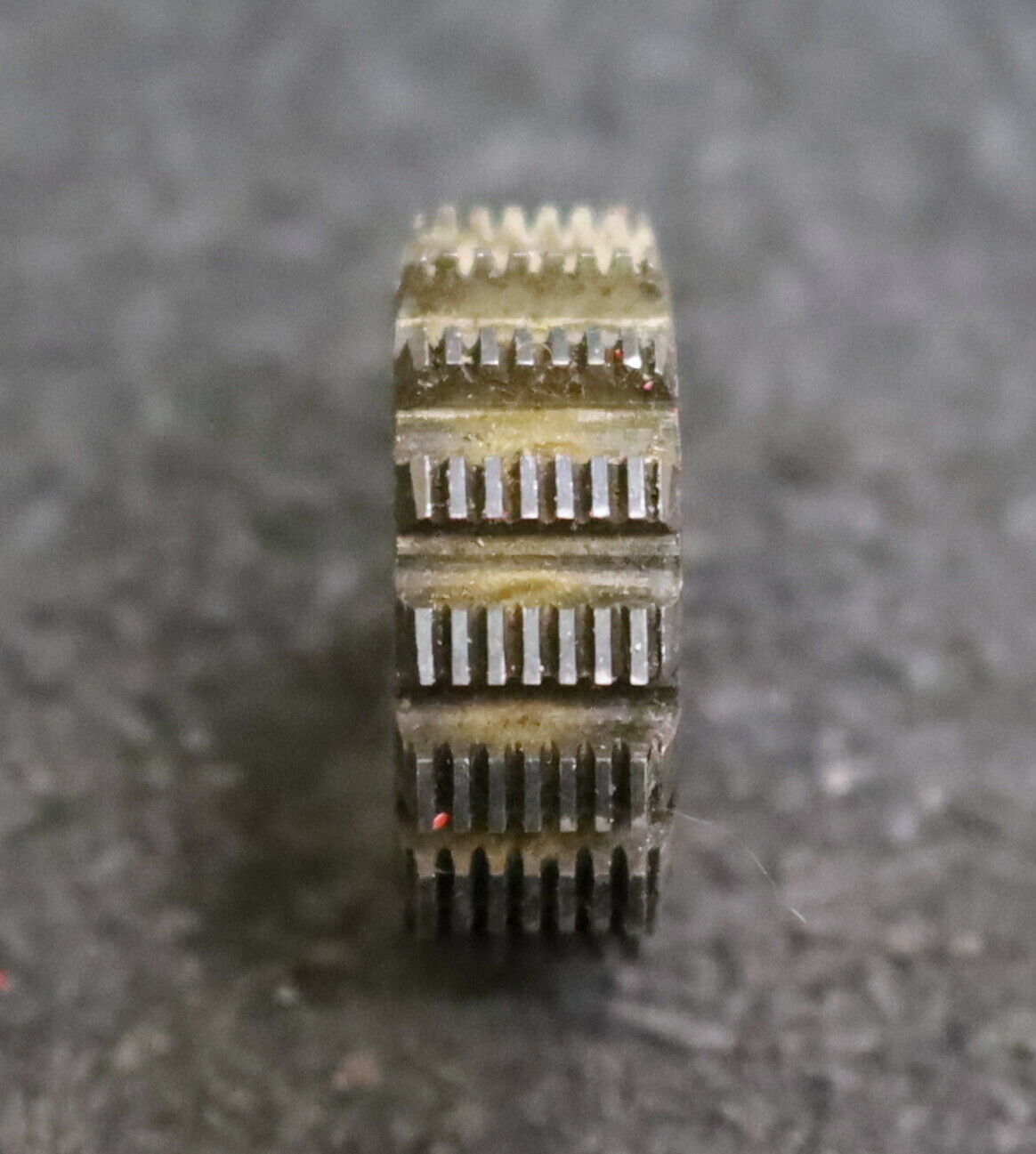 MIKRON Wälzfräser No. 13646 - Ø22x8xØ8mm 1gg. Rechts 15 Spanuten