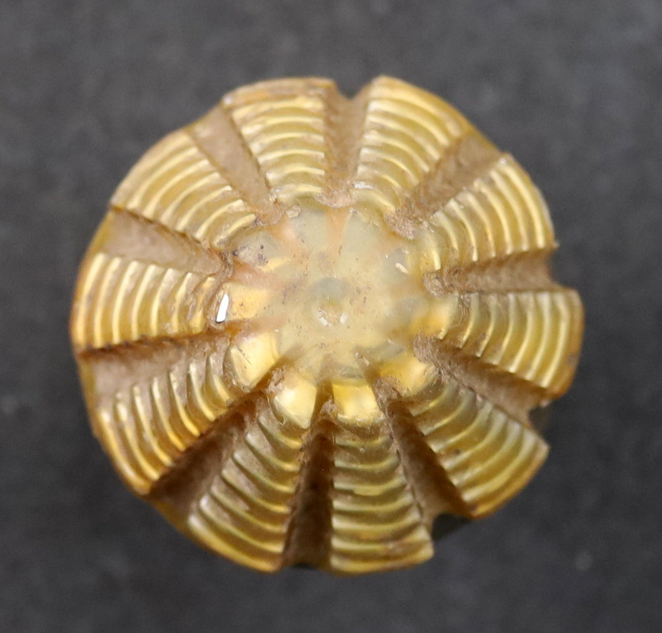 Bild des Artikels KLINGELNBERG-Palloid-Wälzfräser-m=-2-EGW-20°-Zahnform-I-1gg.-Links-HF-ECO