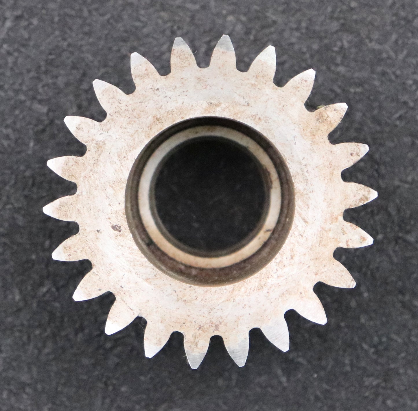 Bild des Artikels PWS-Glockenschneidrad-m=-2,25mm-EGW-20°-Z=-22-BP-II-Ø56x33xØ20mm-Qualität-A