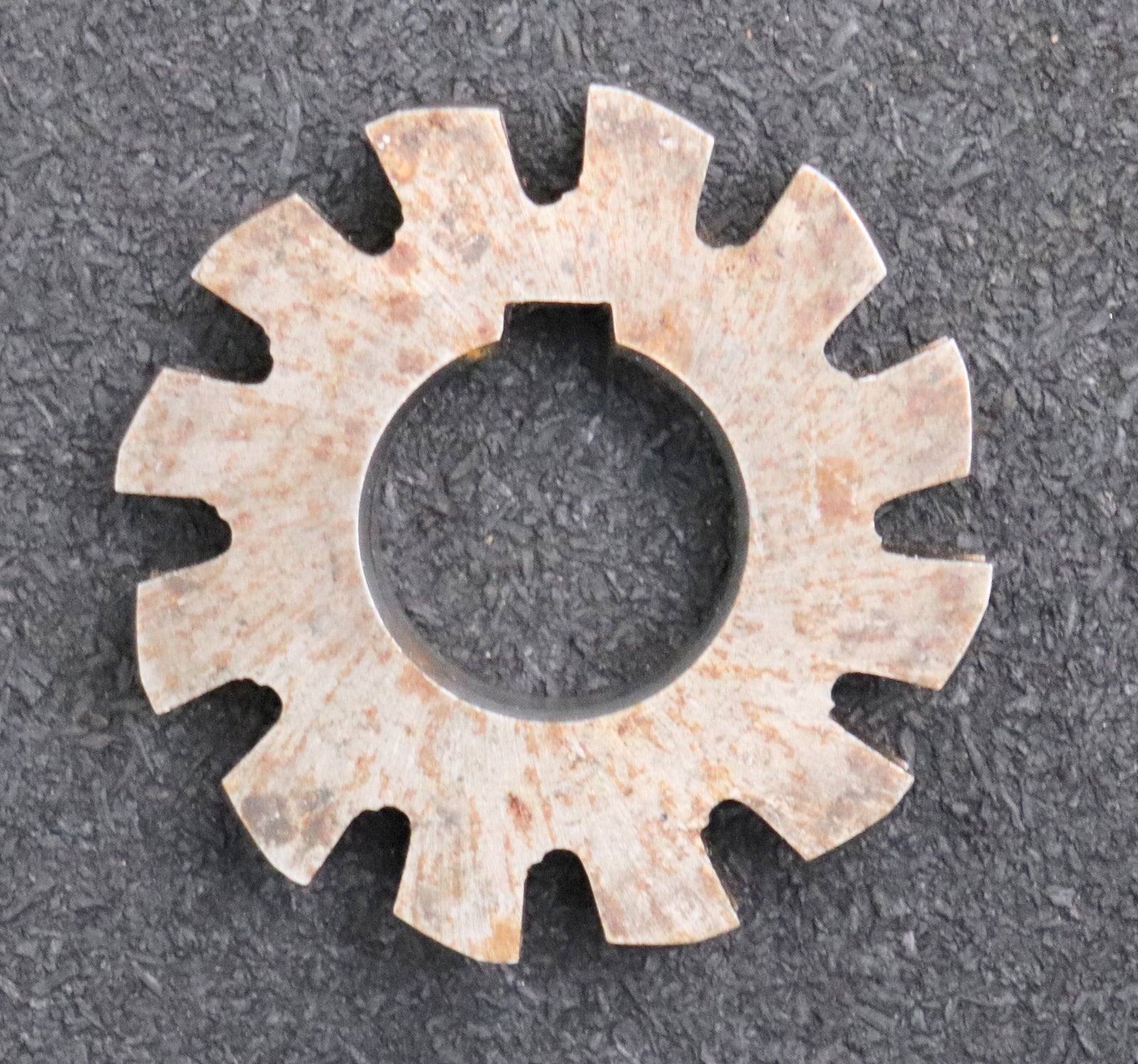 Bild des Artikels R.STOCK-Halbrund-Formfräser-konkav-Radiusfräser-Radius-2,5mm-Ø53x10xØ22mm